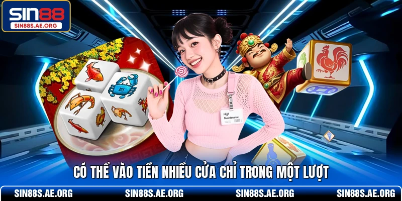 Có thể vào tiền nhiều cửa chỉ trong một lượt