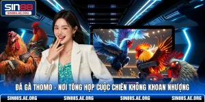 Đá Gà Thomo - Nơi Tổng Hợp Cuộc Chiến Không Khoan Nhượng