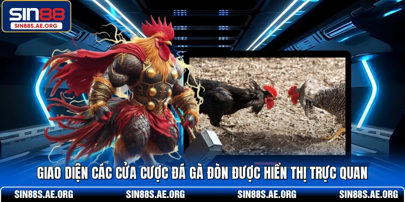 Giao diện các cửa cược đá gà đòn được hiển thị trực quan
