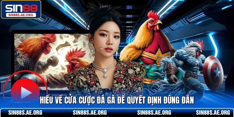 Hiểu về cửa cược đá gà để quyết định đúng đắn 