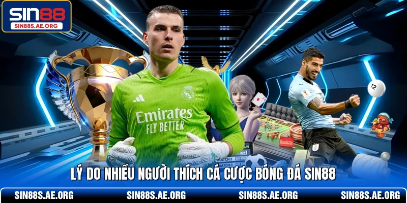Lý do nhiều người thích cá cược bóng đá SIN88