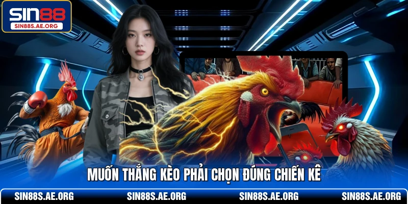 Muốn thắng kèo phải chọn đúng chiến kê
