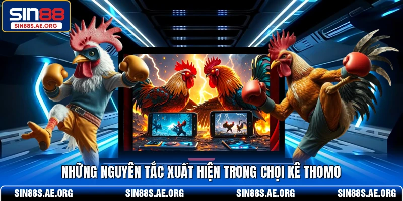 Những nguyên tắc xuất hiện trong chọi kê Thomo