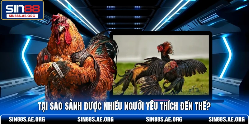 Tại sao sảnh được nhiều người yêu thích đến thế?