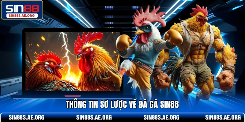 Thông tin sơ lược về đá gà SIN88
