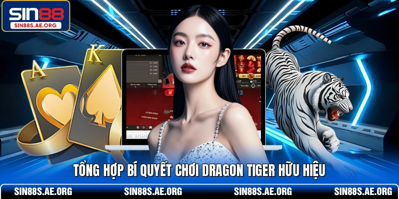 Tổng hợp bí quyết chơi Dragon Tiger hữu hiệu