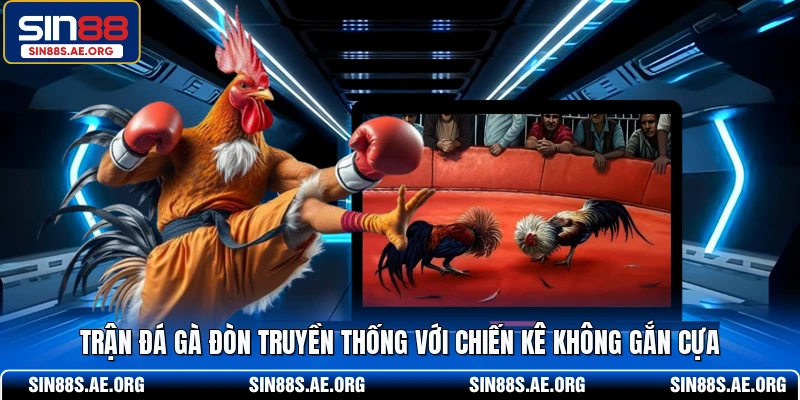 Trận đá gà đòn truyền thống với chiến kê không gắn cựa