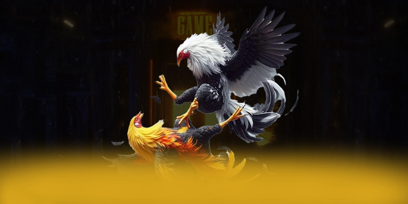 Đánh giá từ game thủ về BET168